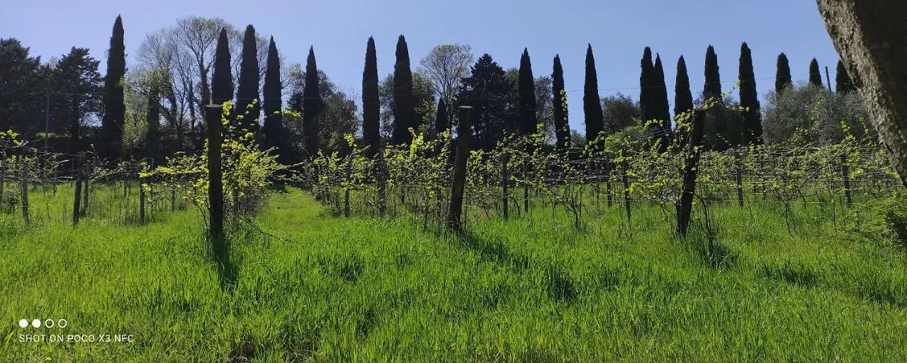Fattoria Il Milione Agriturismo Firenze Alloggio per agriturismo