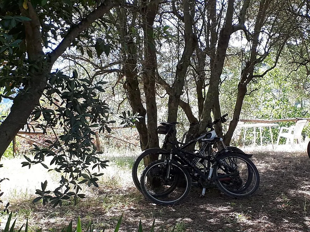 Fattoria Il Milione Agriturismo Firenze